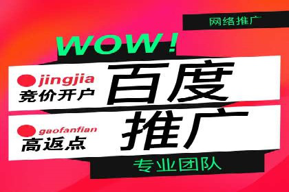 行业领先企业的百度包年竞价经验分享